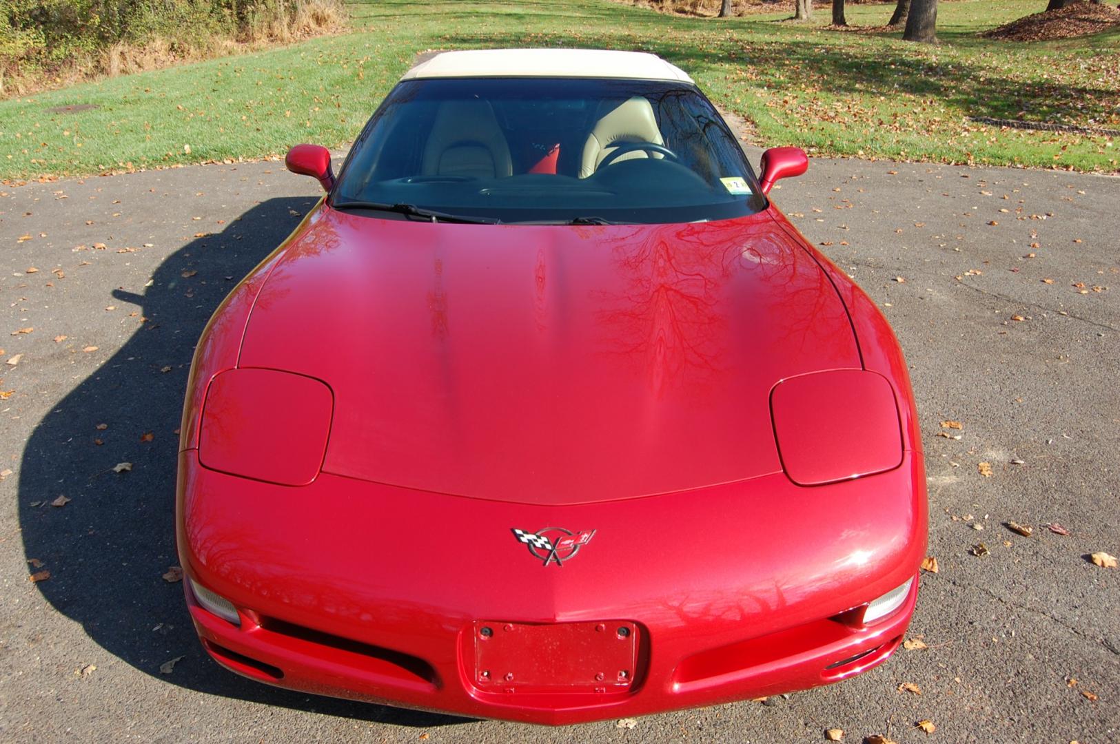 1998 Burgundy /Beige Leather Chevrolet Corvette (1G1YY32G9W5) with an 5.7 liter V8 engine, Automatic transmission, located at 6528 Lower York Road, New Hope, PA, 18938, (215) 862-9555, 40.358707, -74.977882 - Photo#14